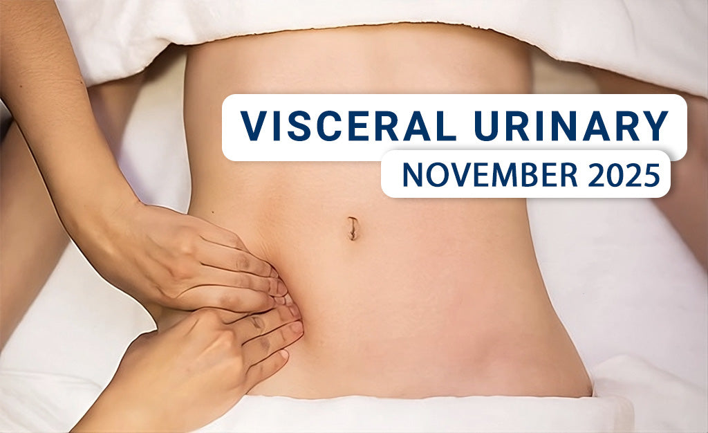 Mobilization of Visceral Fascia: Urinary System (Live-Remote) – November 2025