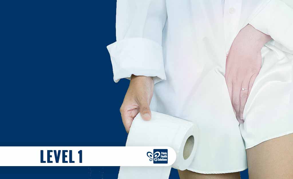 Level 1: The Physical Therapy Approach to Anyone Experiencing Urinary Incontinence – Combined Online/In-Person – May 2024