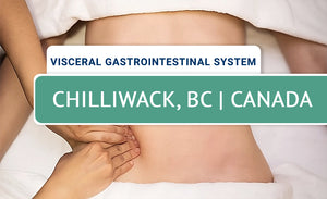 Mobilization of Visceral Fascia: GI System (Live-Remote) – May 2026 - Chilliwack, BC