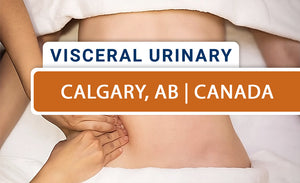 Mobilization of Visceral Fascia: Urinary System (Live-Remote) – November 2025 - Calgary, AB