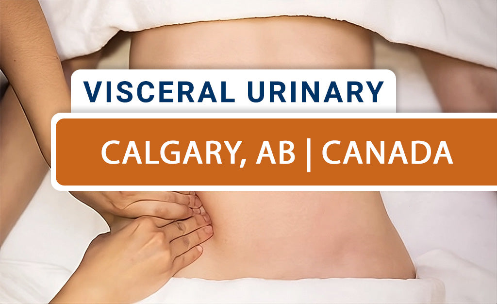 Mobilization of Visceral Fascia: Urinary System (Live-Remote) – November 2025 - Calgary, AB