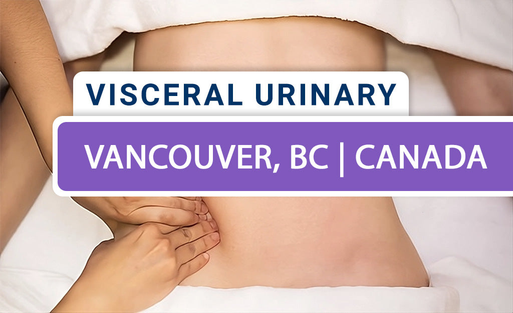 Mobilization of Visceral Fascia: Urinary System (Live-Remote) – November 2025 - Vancouver, BC