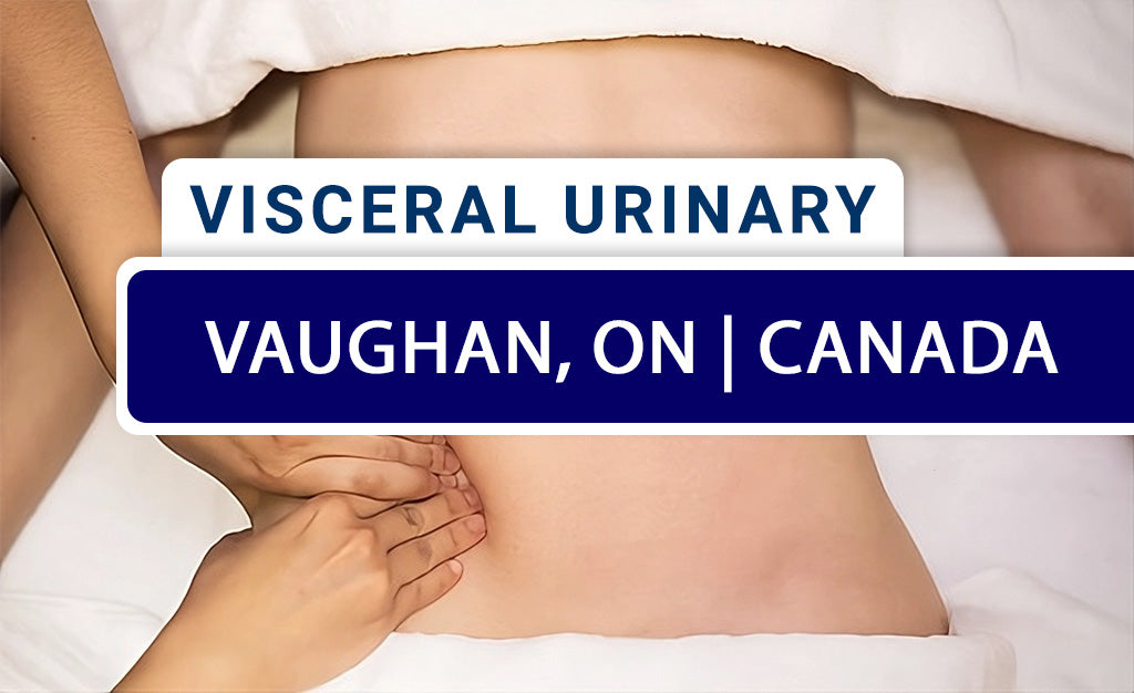 Mobilization of Visceral Fascia: Urinary System (Live-Remote) – November 2025 - Vaughan, ON