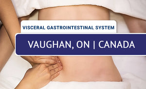 Mobilization of Visceral Fascia: GI System (Live-Remote) – May 2026 - Vaughan, ON